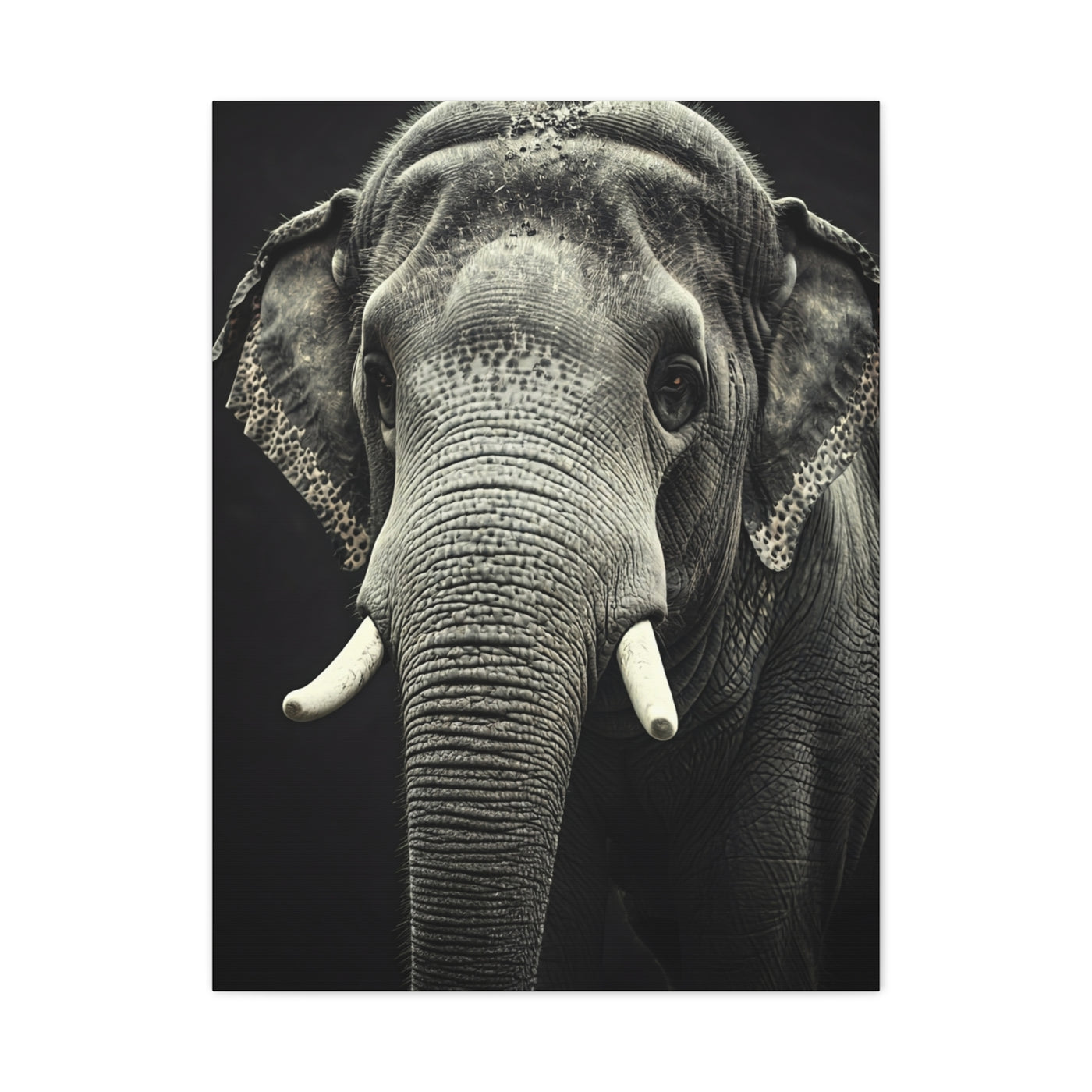 Regal Elephant Close-Up Wall Art & Canvas Prints