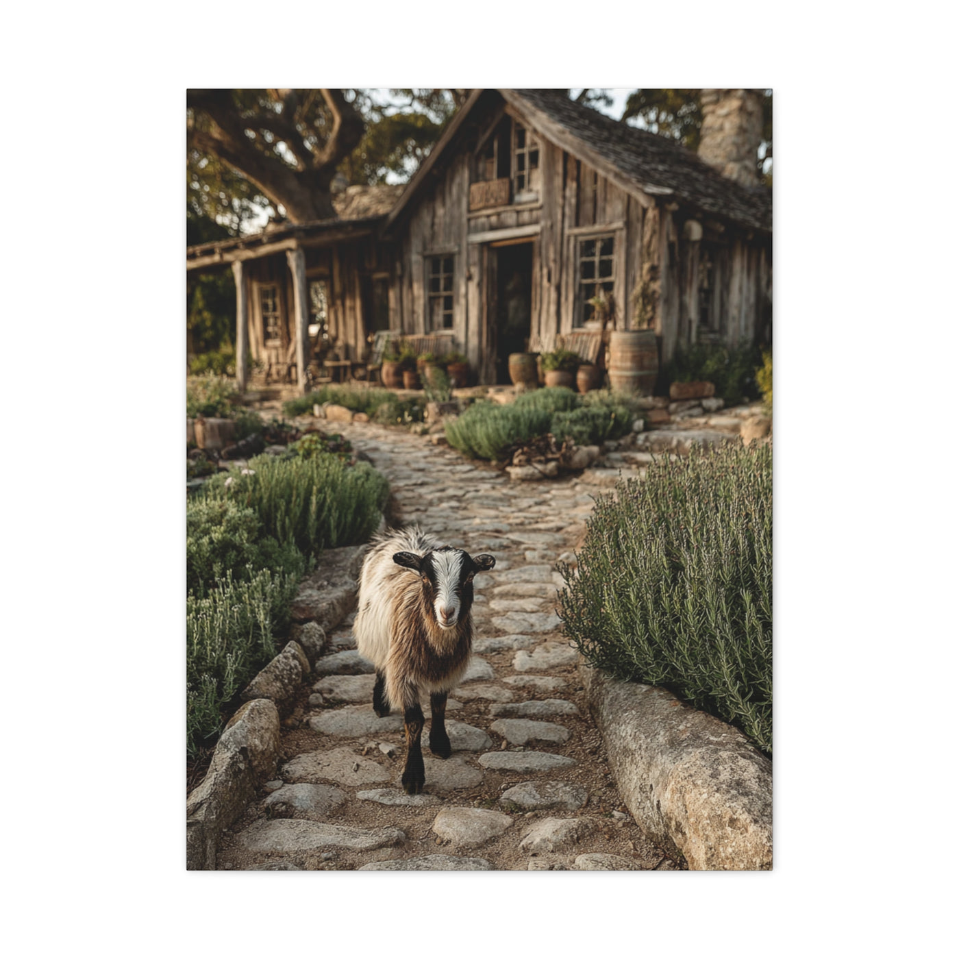 Farmhouse Garden Path with Goat Wall Art & Canvas Print