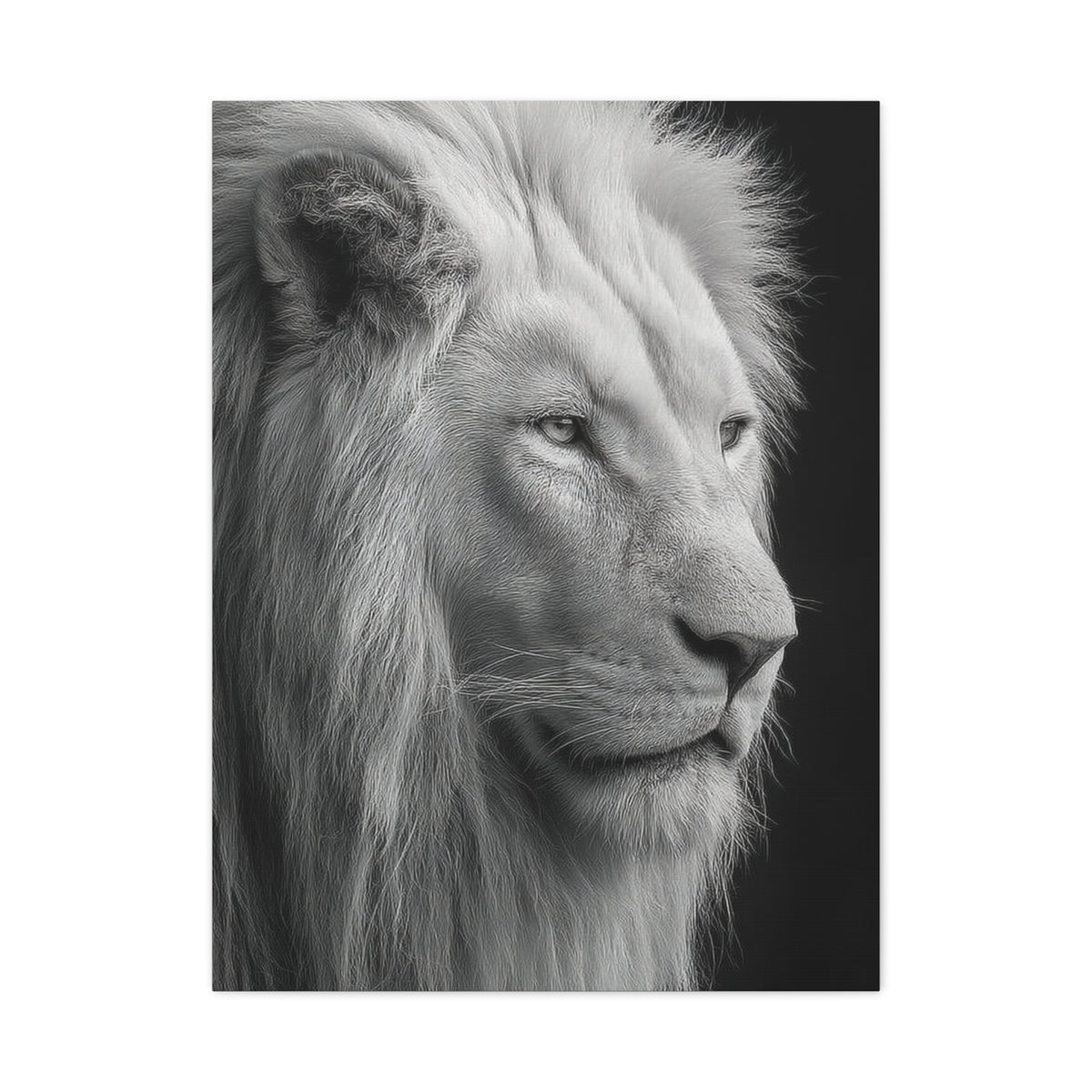 White Lion Monochrome Close Portrait Wall Art & Canvas Print
