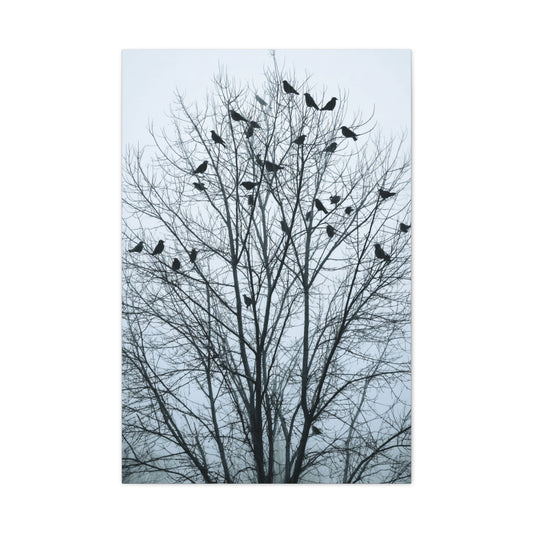 Tree of Crows Silhouette Wall Art & Canvas Print
