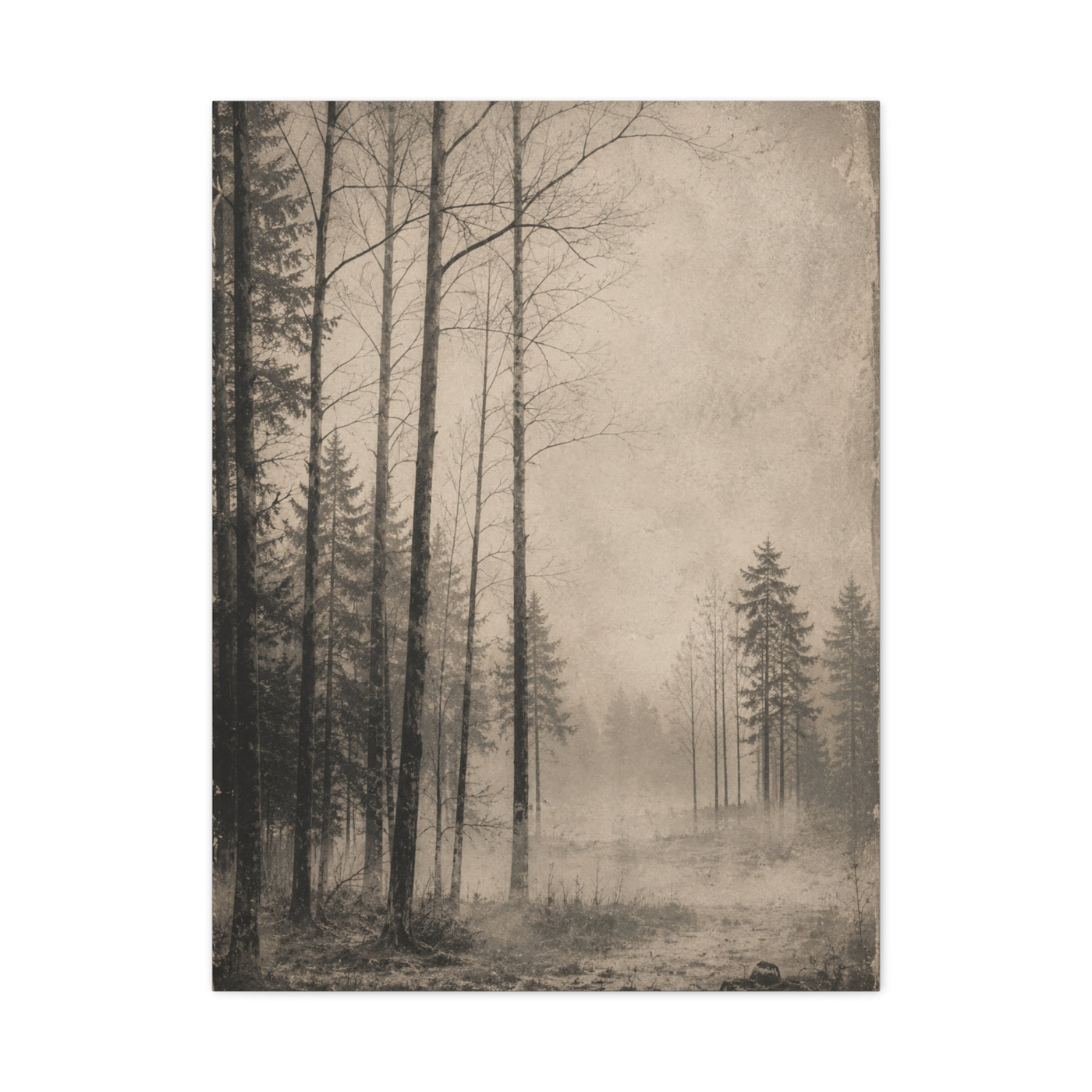 Vintage Fog Forest Monochrome Trees Wall Art & Canvas Print