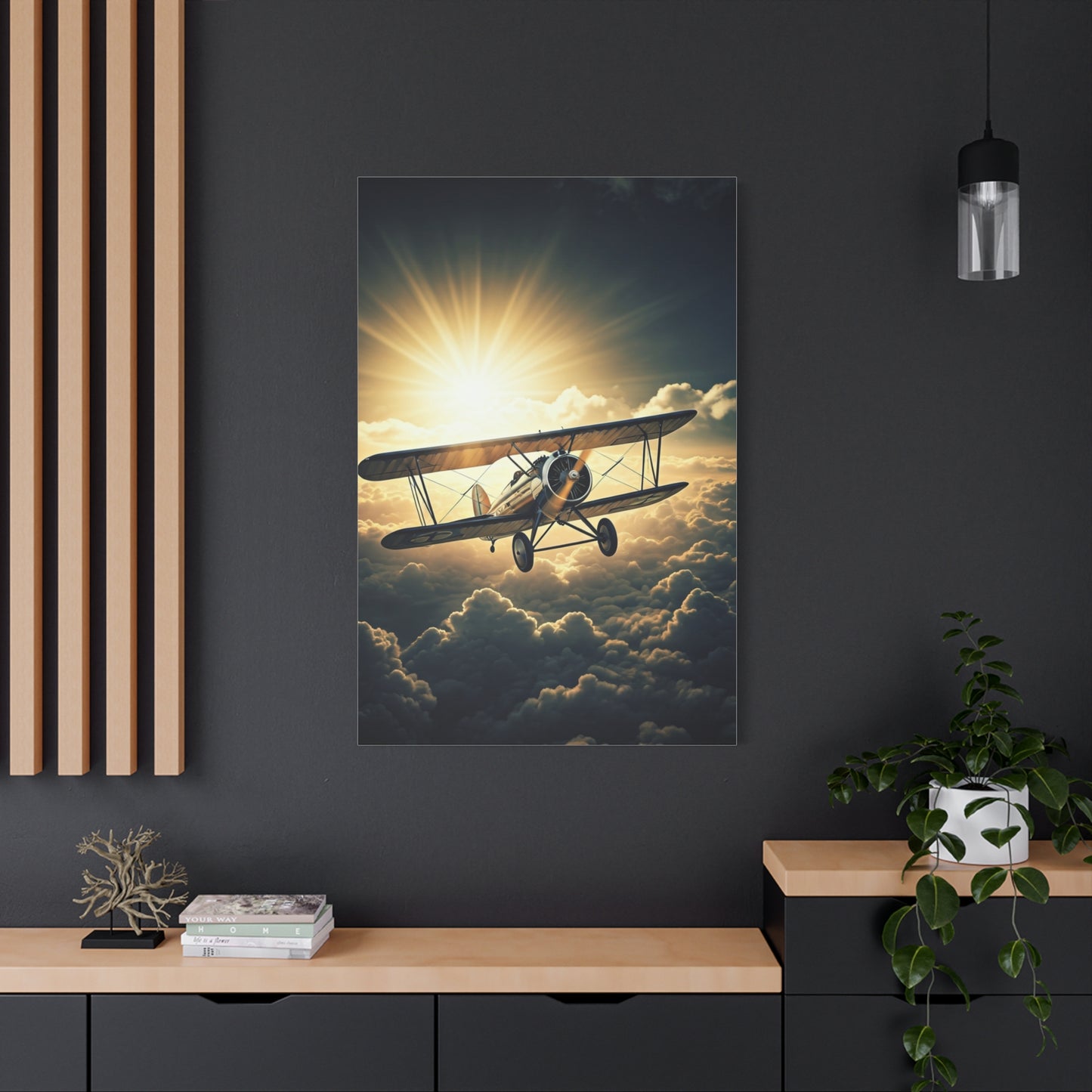 Sunlit Vintage Biplane Flight Wall Art & Canvas Prints