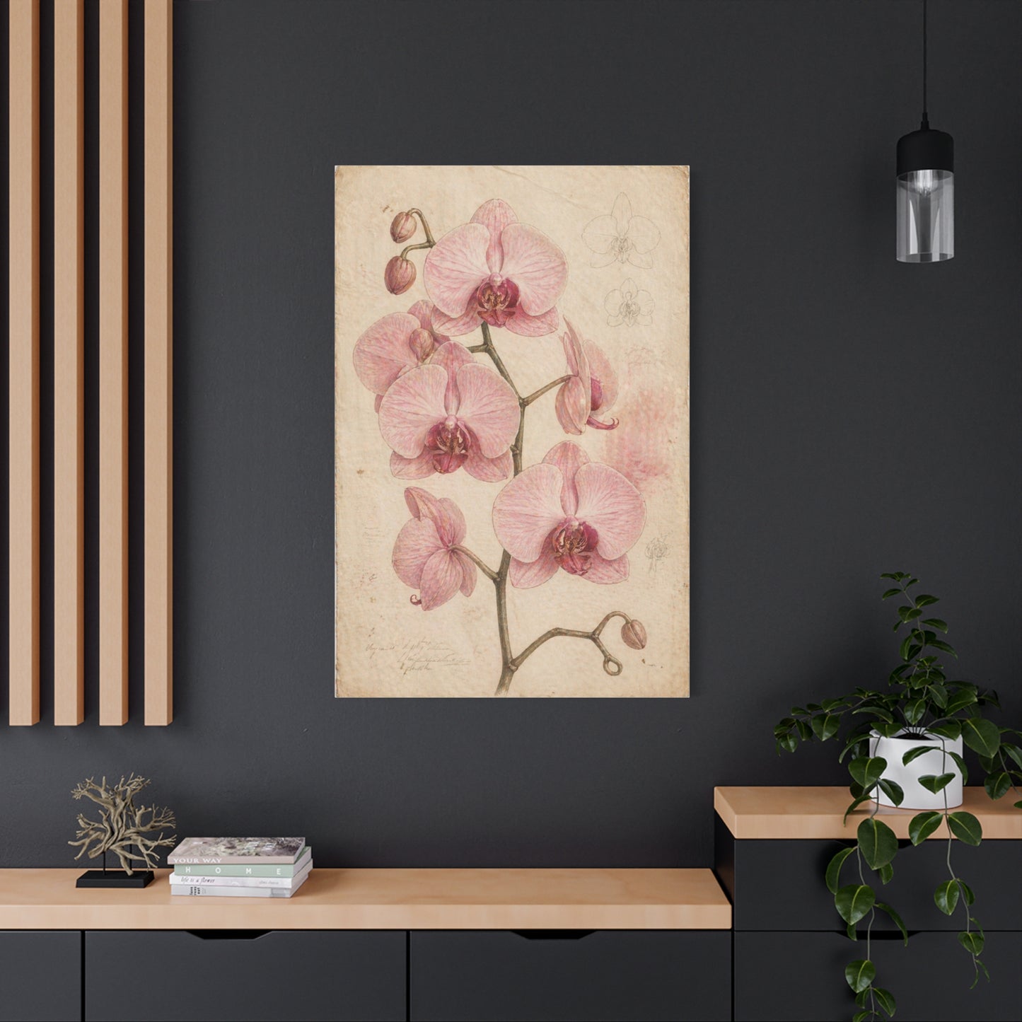 Vintage Orchid Botanical Study Wall Art & Canvas Print