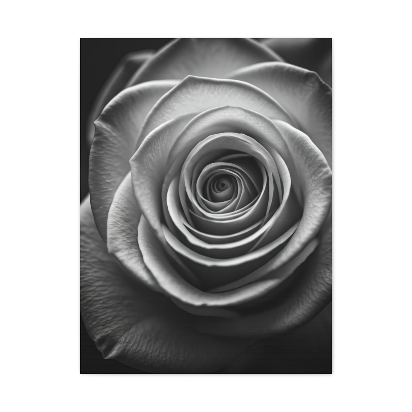 Monochrome Daisy Center Detail Wall Art & Canvas Prints