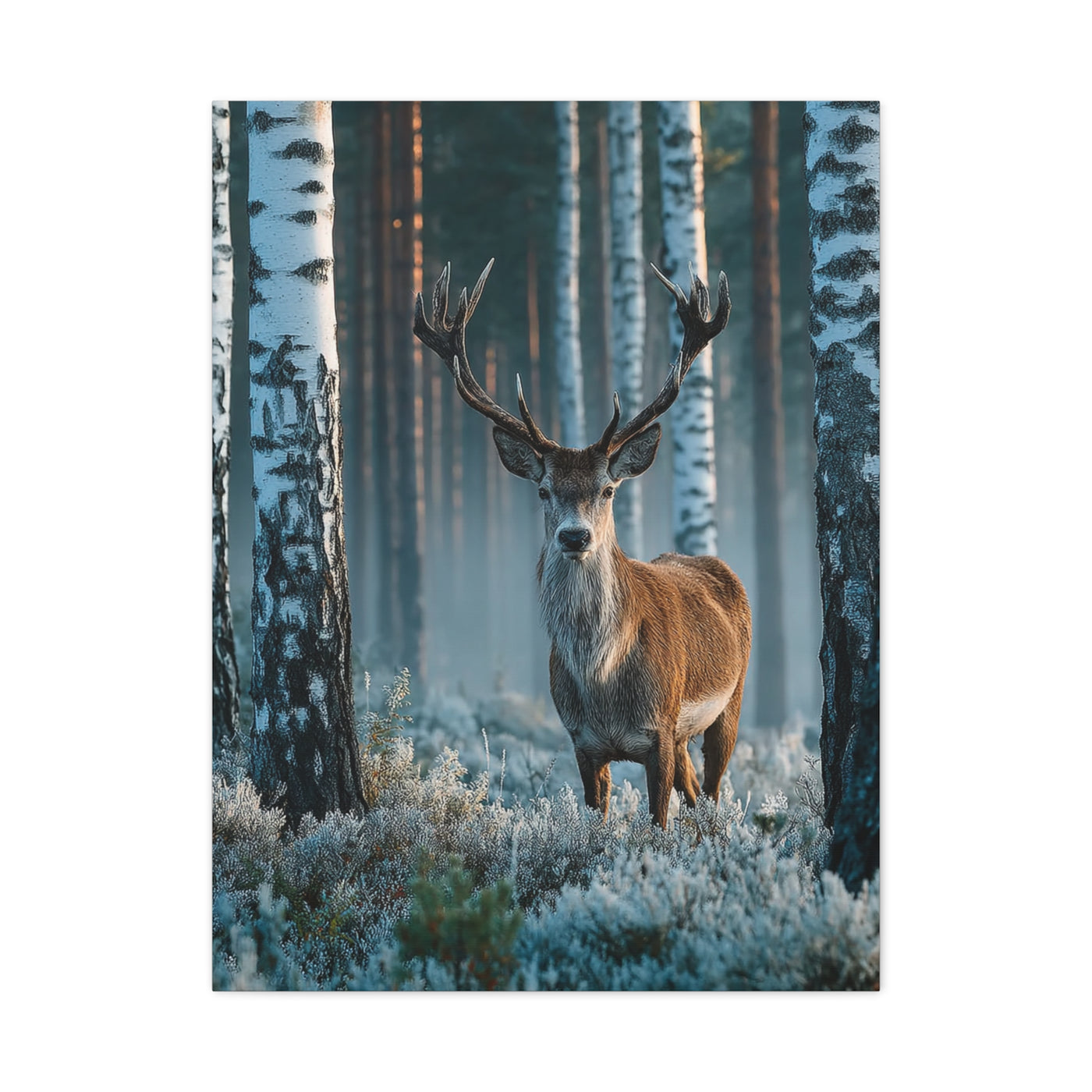 Nordic Birch Forest Stag Wall Art & Canvas Print