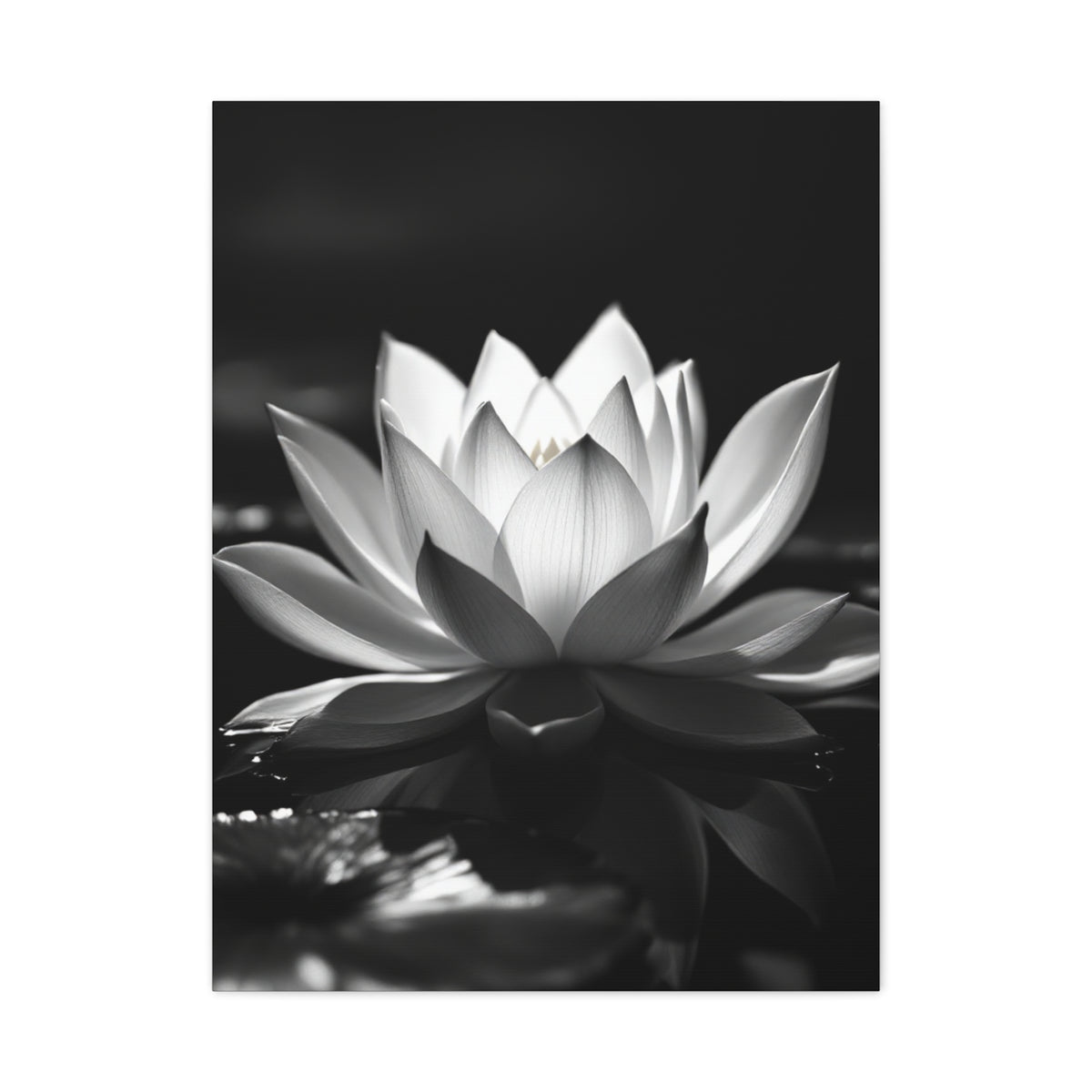 Serene Lotus Reflection Wall Art & Canvas Prints