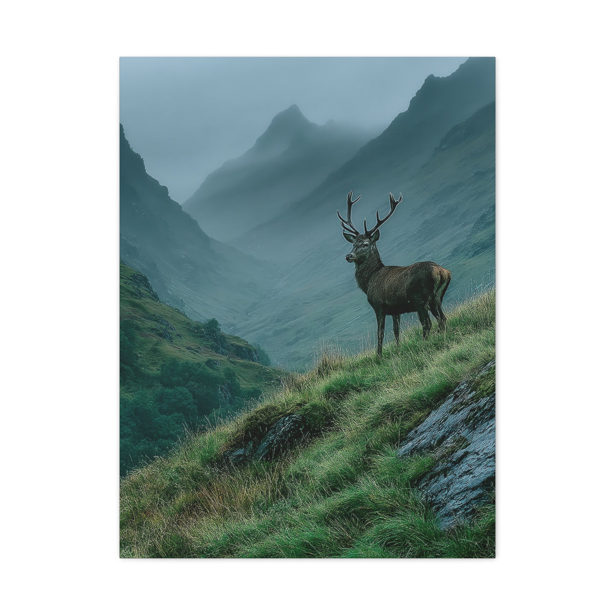 Highland Valley Stag Vista Wall Art & Canvas Print