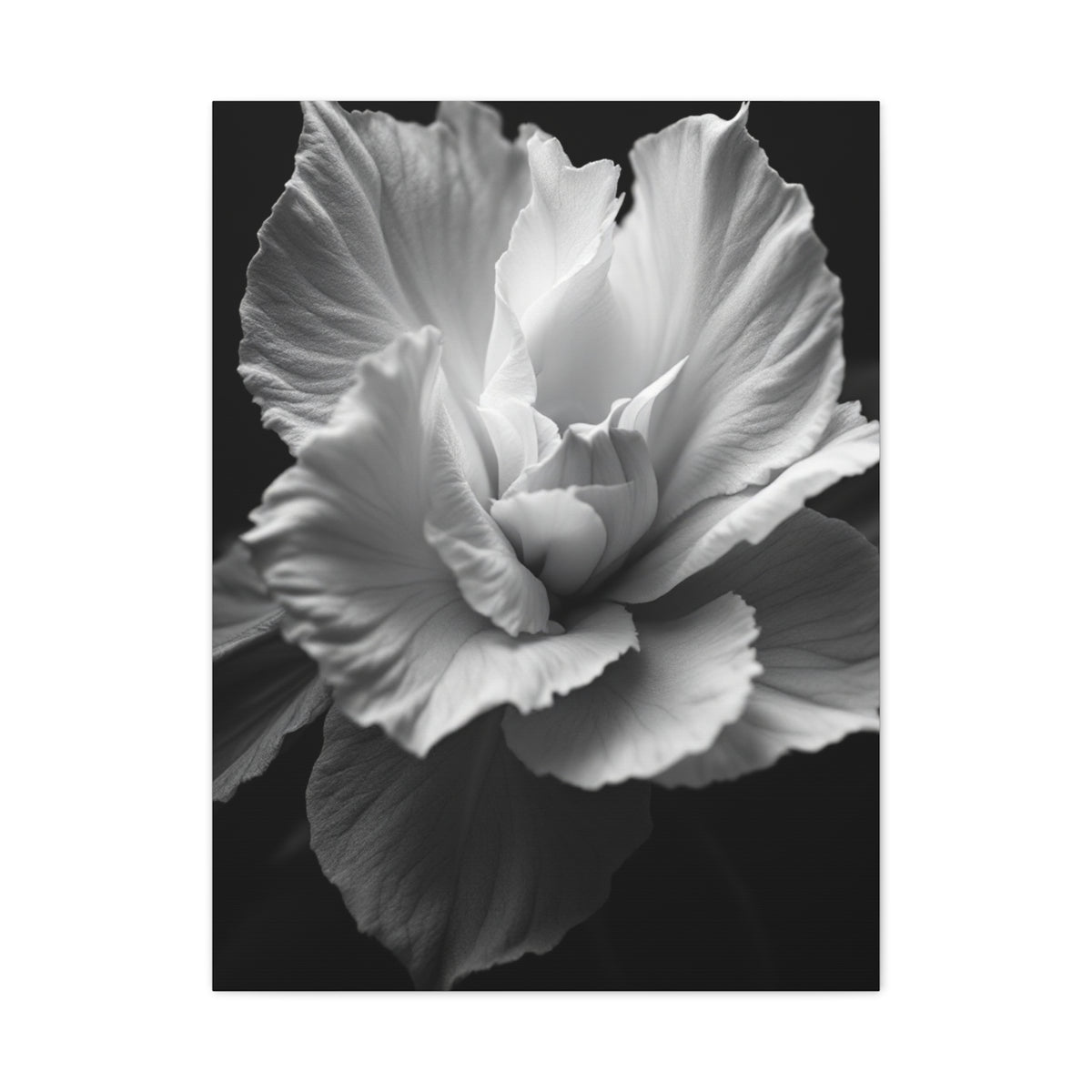 Sculpted Petal Elegance Close-Up Wall Art & Canvas Prints