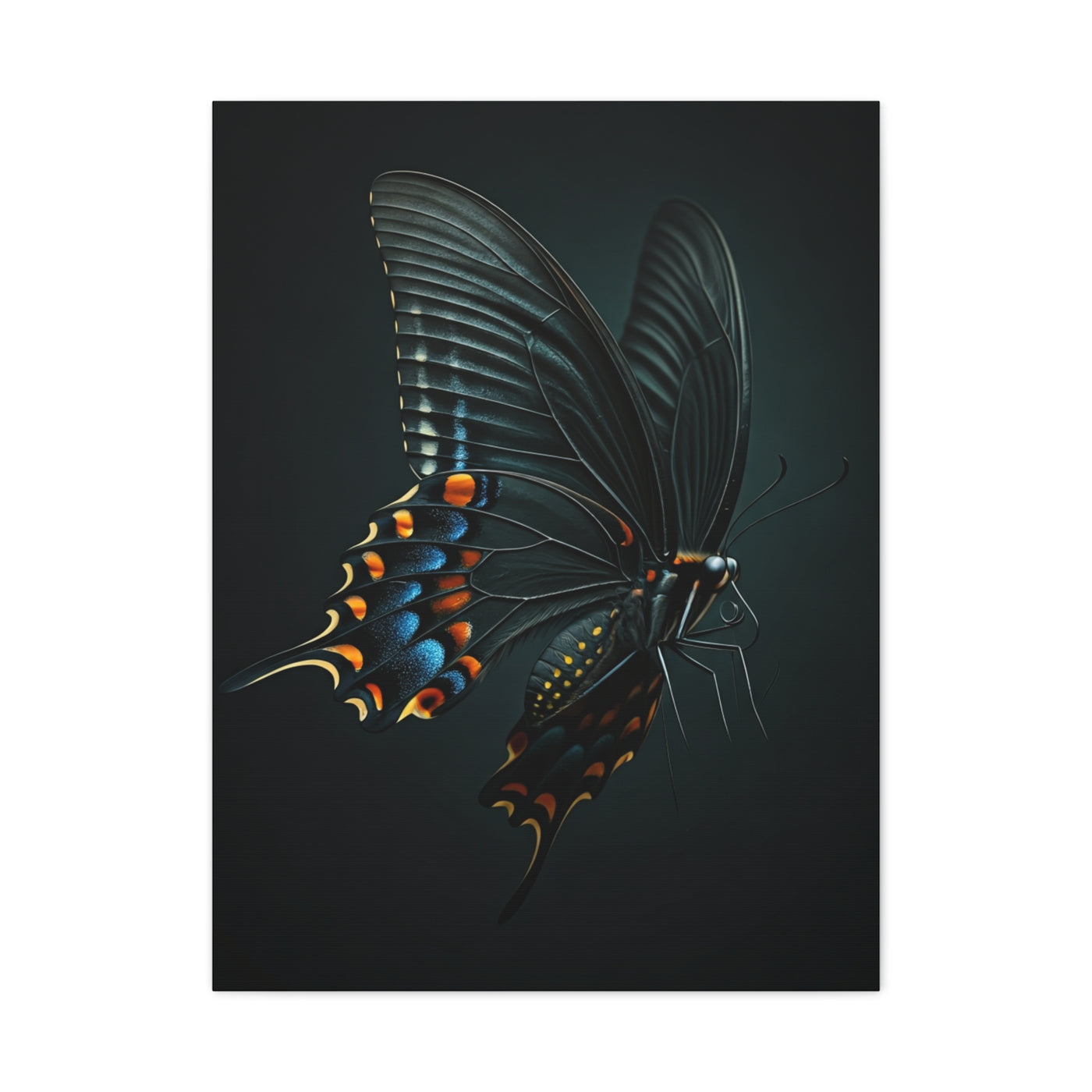 Dark Swallowtail Butterfly in Flight Wall Art & Canvas Prints