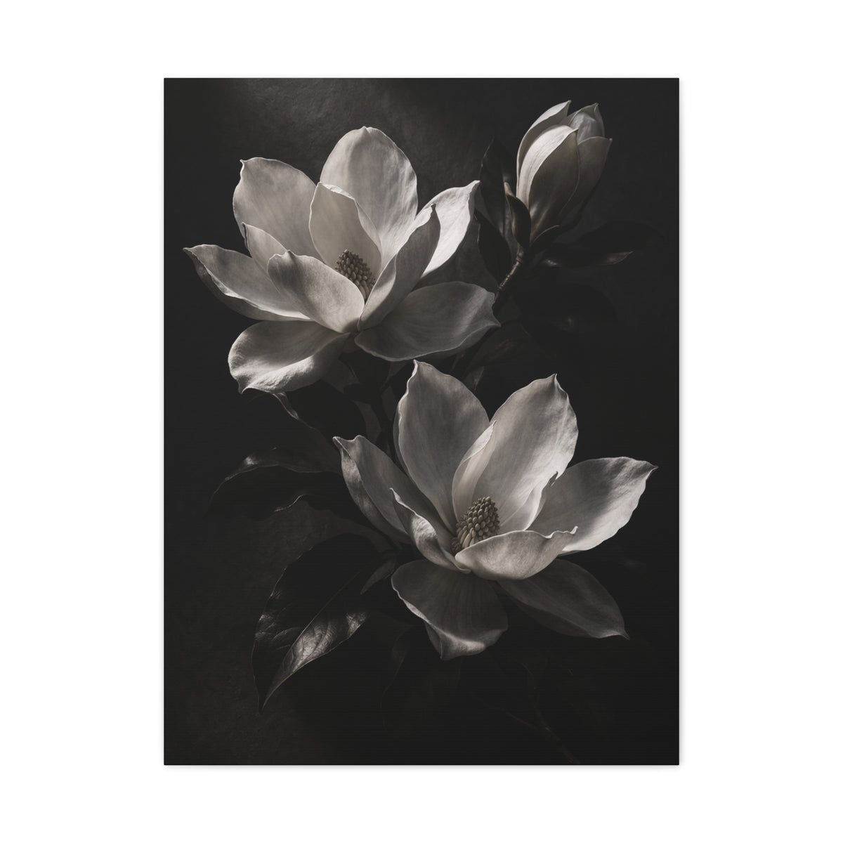 Charcoal Magnolia Floral Wall Art & Canvas Print