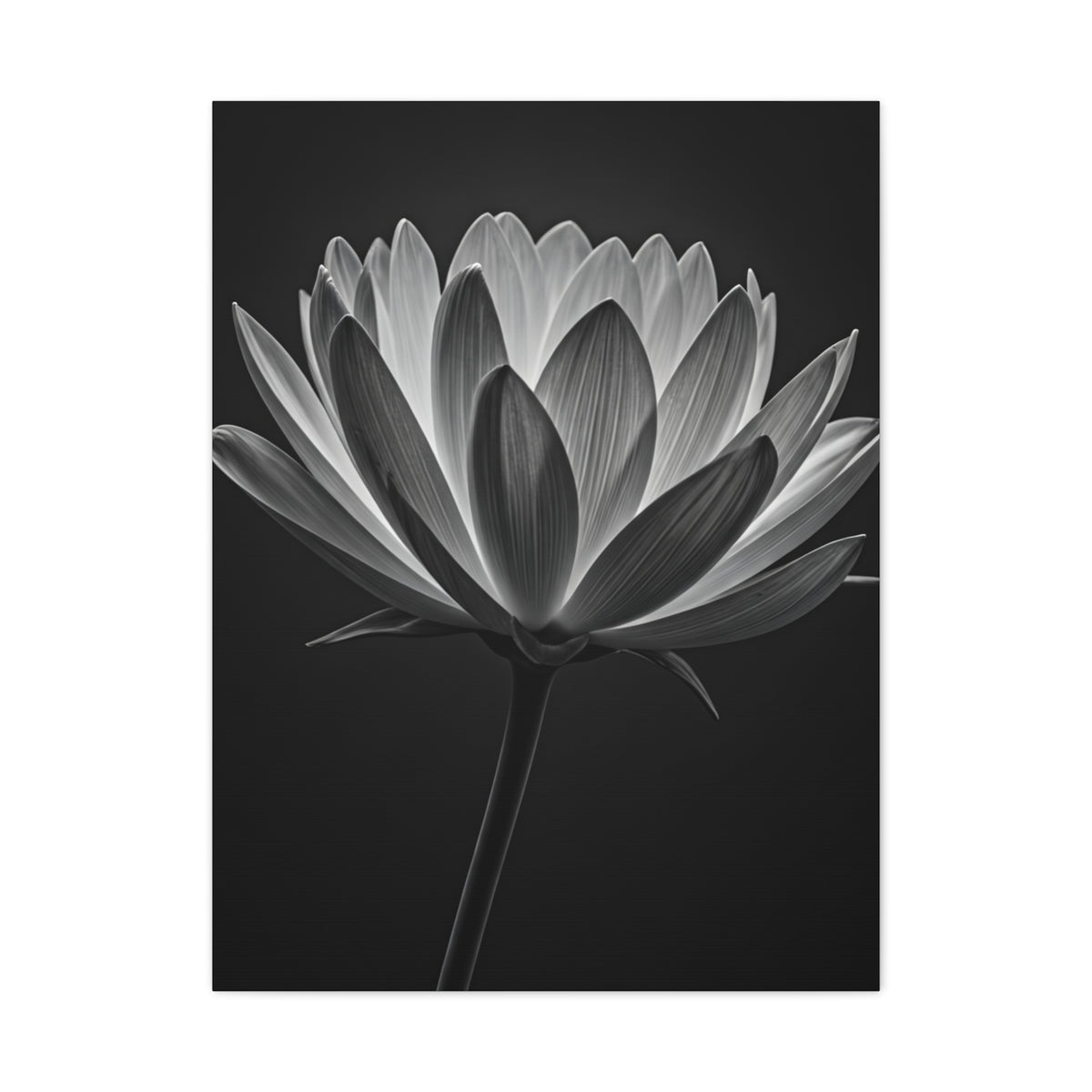 Dramatic Hibiscus Petal Study Wall Art & Canvas Prints