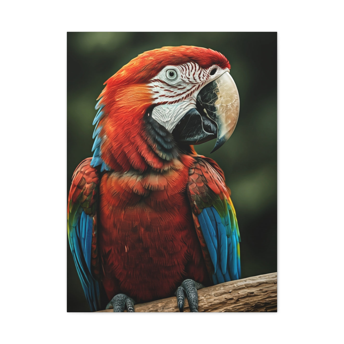 Scarlet Macaw Majesty Wall Art & Canvas Prints