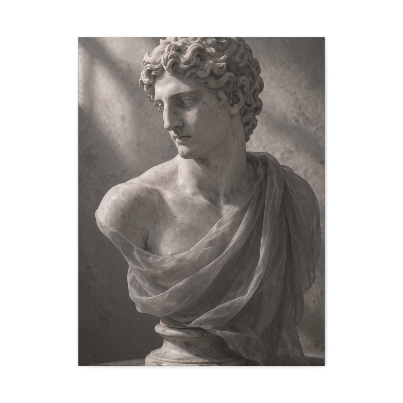 Classical Marble Bust Draped Wall Art & Canvas Print