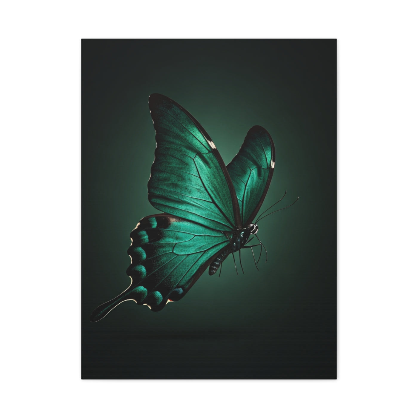 Emerald Swallowtail Butterfly in Shadow Light Wall Art & Canvas Prints
