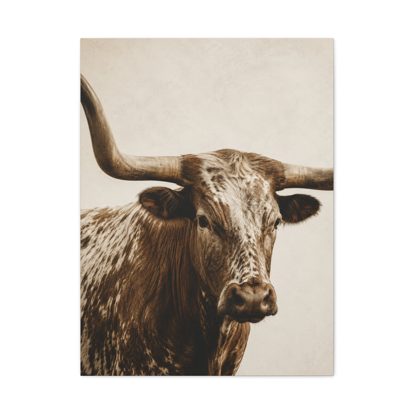 Texas Longhorn Heritage Portrait Wall Art & Canvas Print