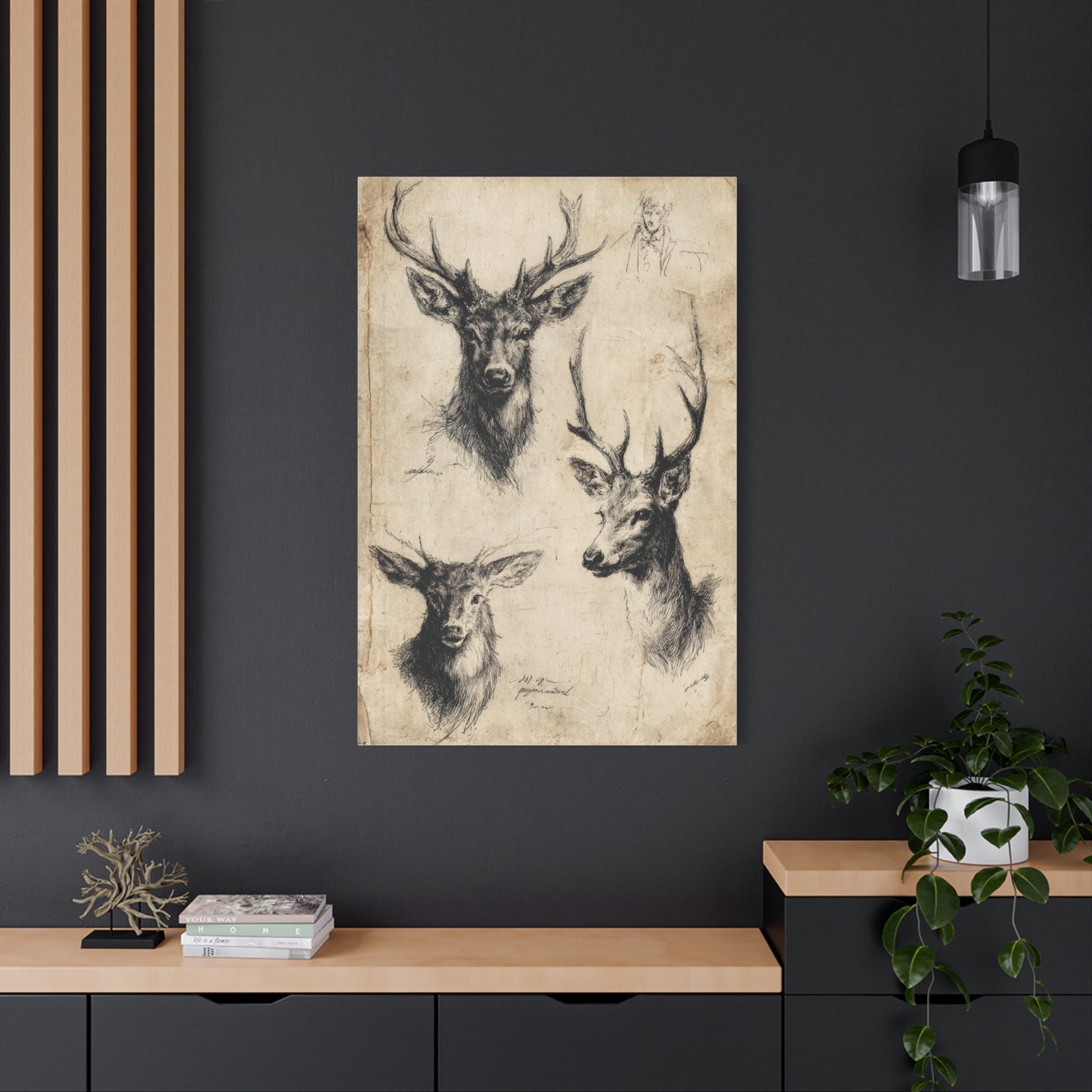 Vintage Natural History Deer Study Wall Art & Canvas Print