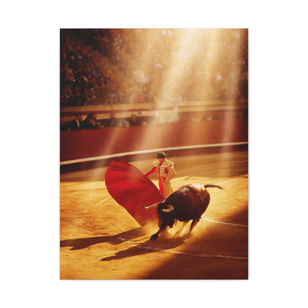 Golden Arena Matador Bullfight Wall Art & Canvas Print