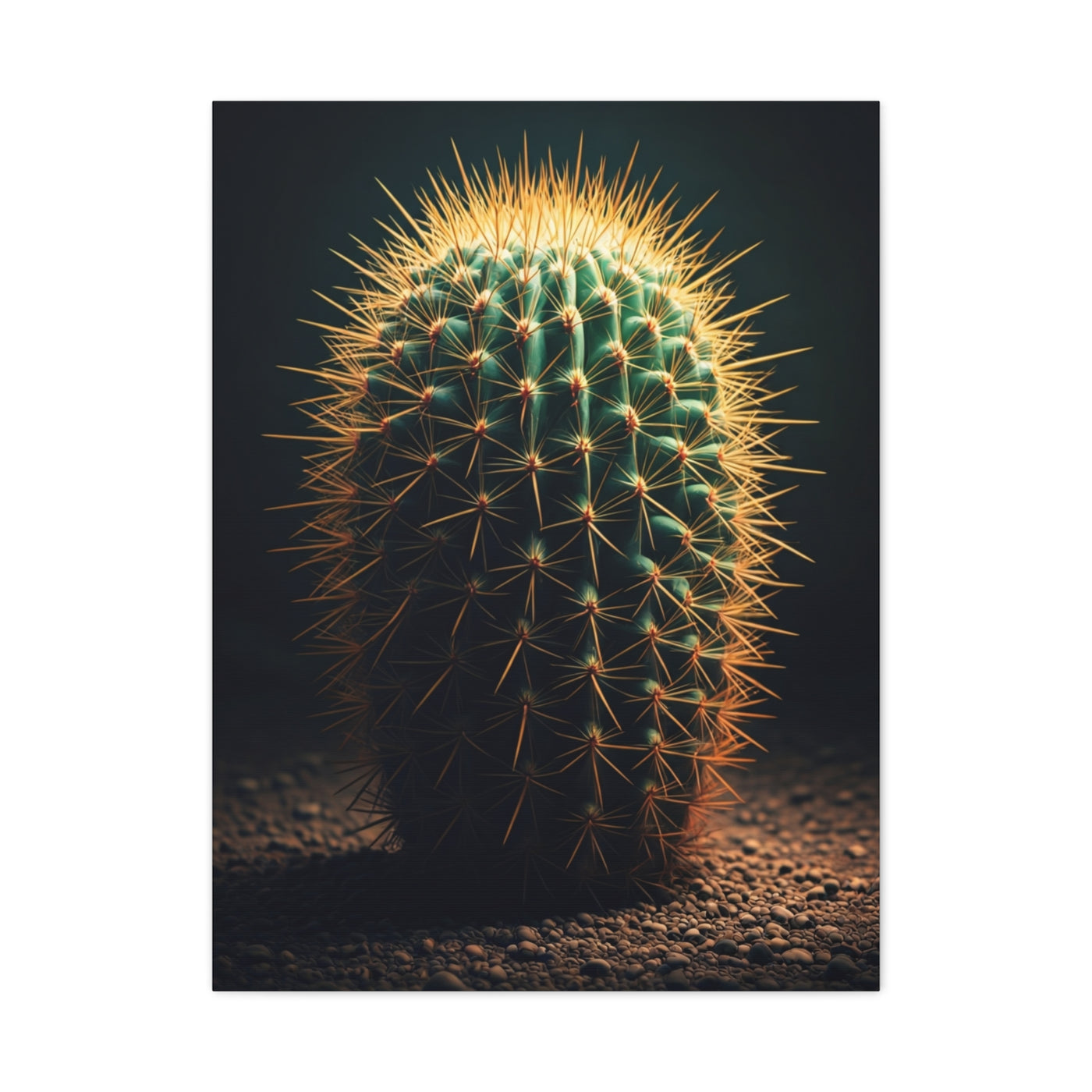Golden Halo Barrel Cactus Wall Art & Canvas Prints