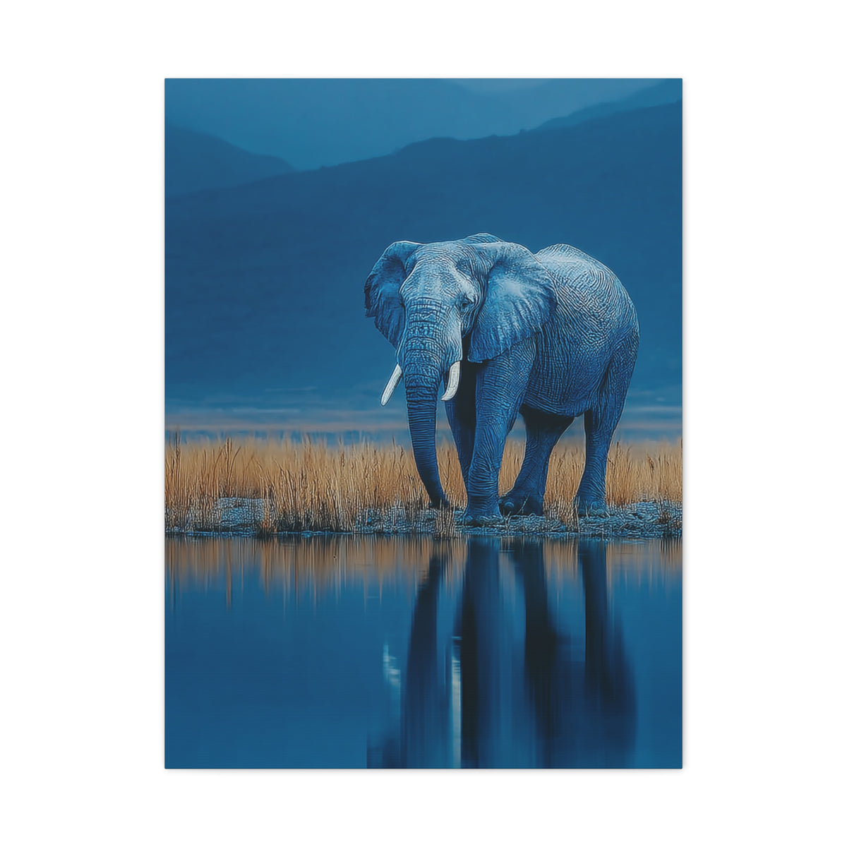 Elephant Blue Hour Reflection Wall Art & Canvas Print