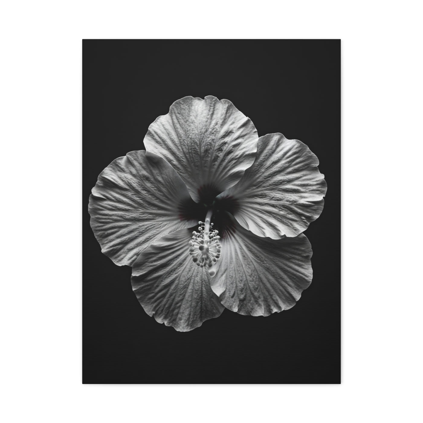 Monochrome Hibiscus Elegance Wall Art & Canvas Prints
