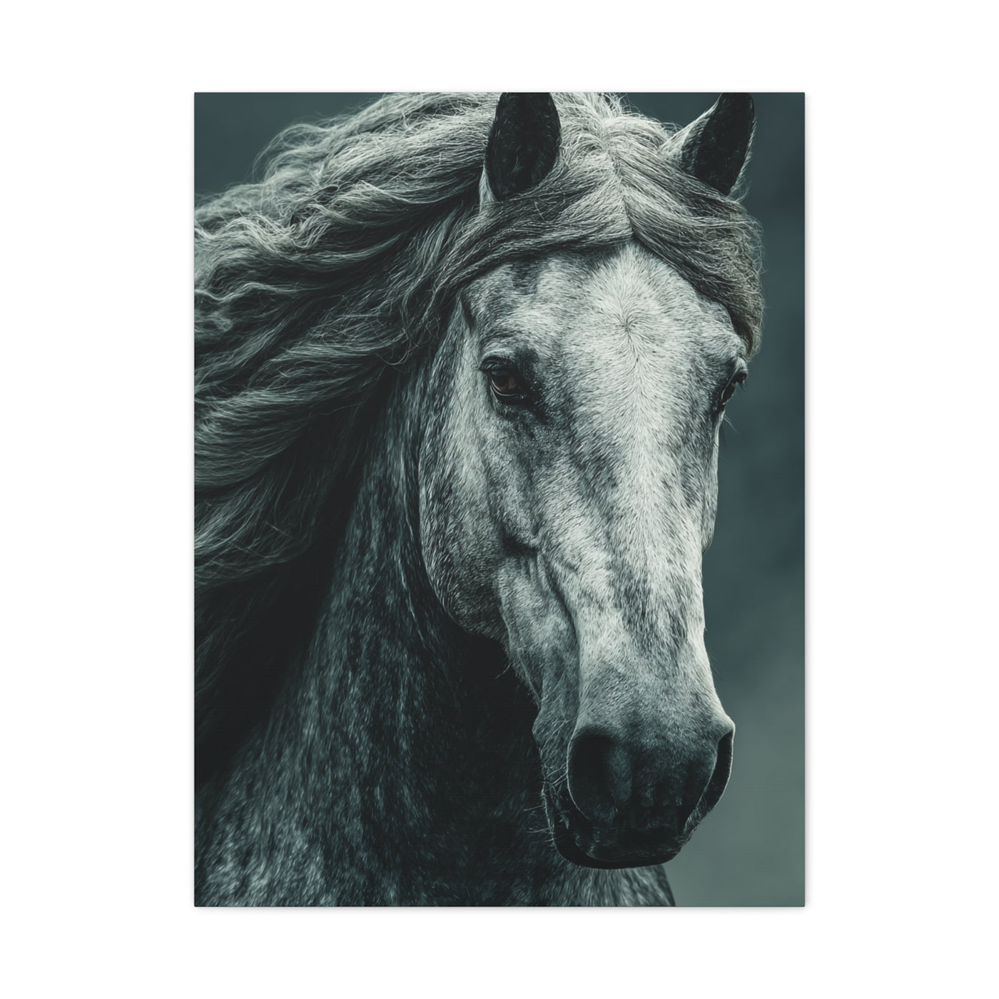Silver Horse Portrait Wall Art & Canvas Print