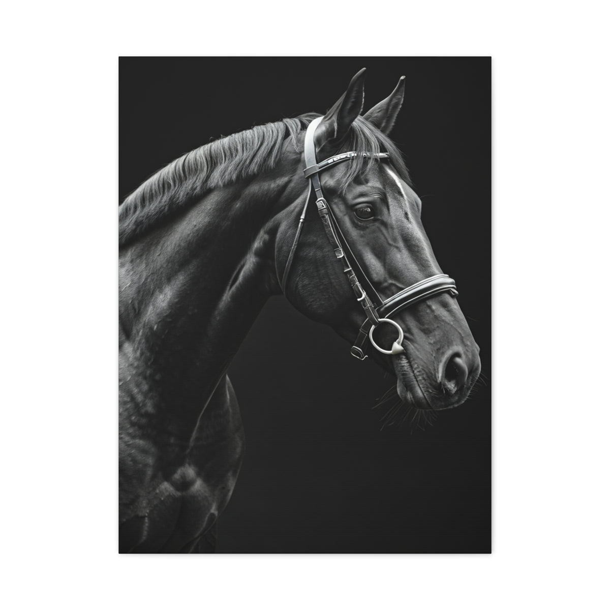 Elegant Black Stallion Profile Wall Art & Canvas Prints
