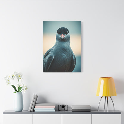 Arctic Tern Portrait Wall Art & Canvas Prints