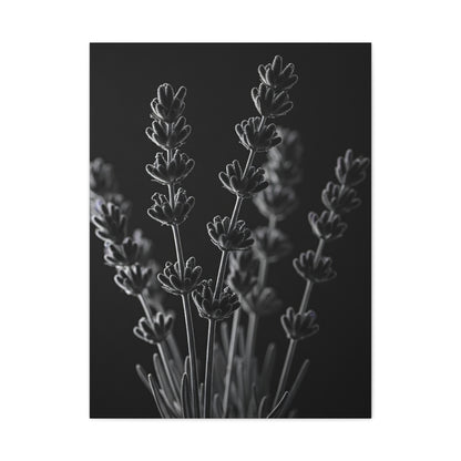 Lavender Silhouette Study Wall Art & Canvas Prints