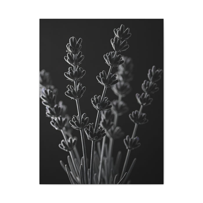 Lavender Silhouette Study Wall Art & Canvas Prints