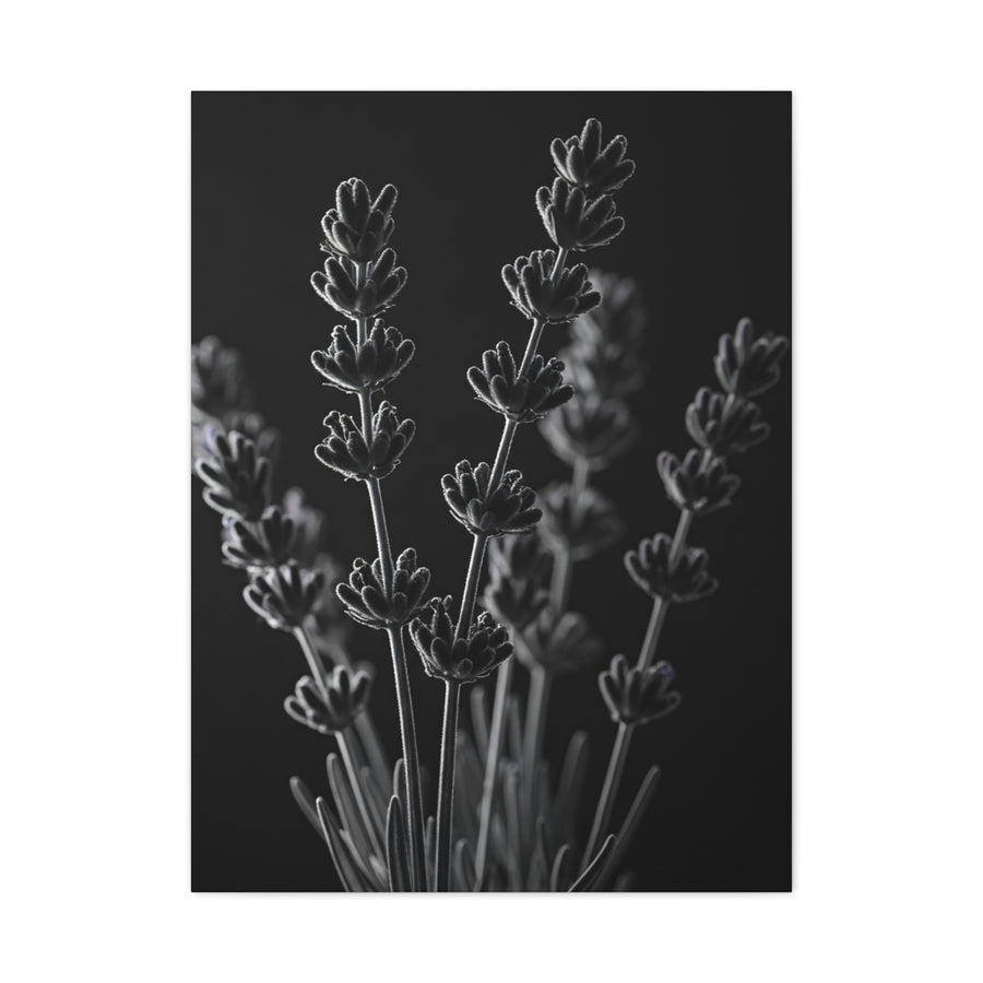 Lavender Silhouette Study Wall Art & Canvas Prints