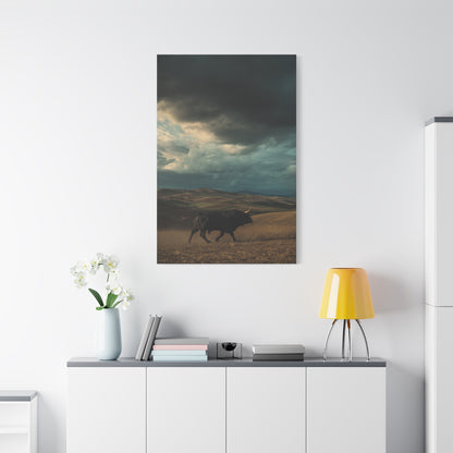 Storm Valley Black Bull Wall Art & Canvas Print