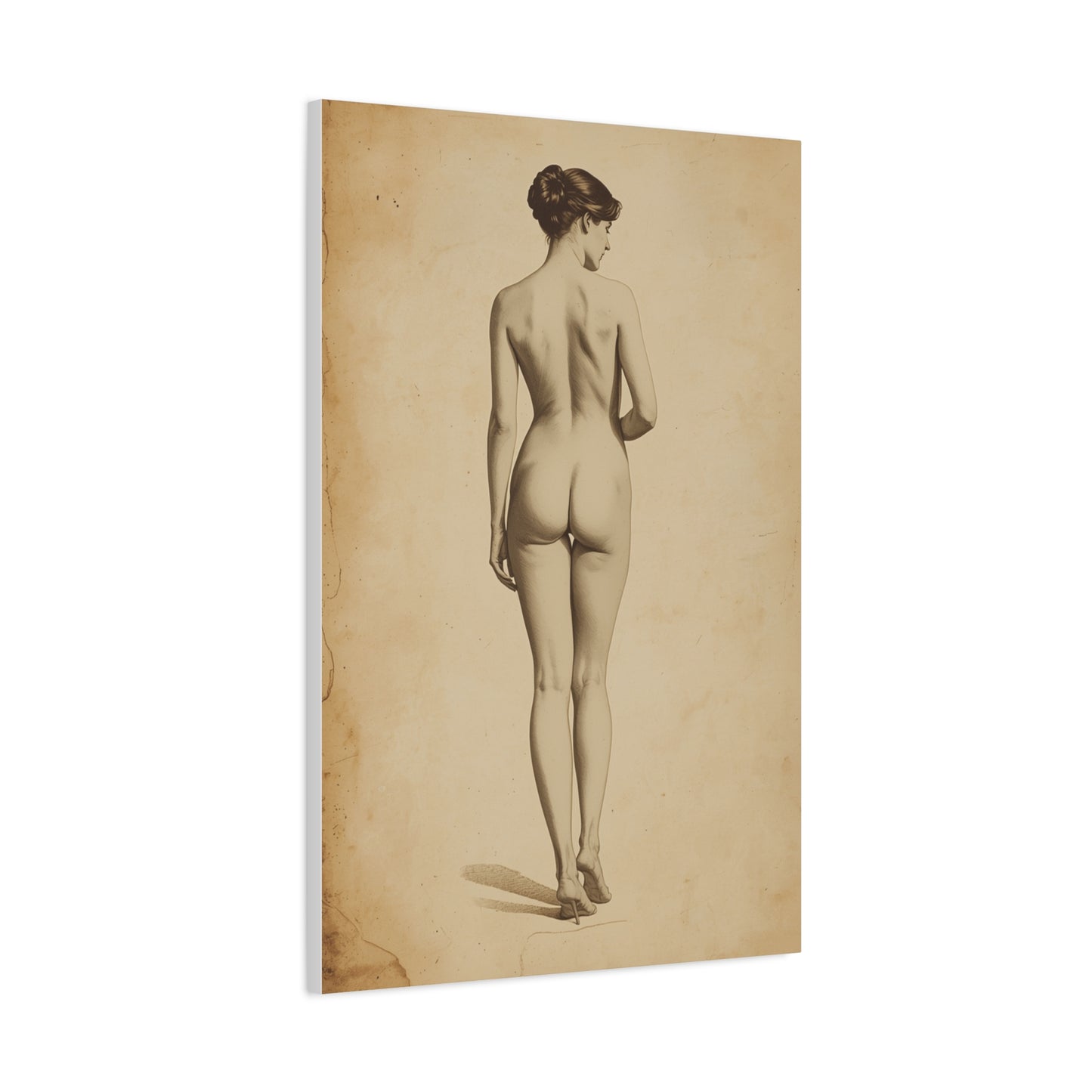 Classical Back Study Figure Wall Art & Canvas Print
