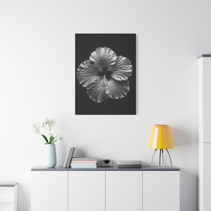 Monochrome Hibiscus Elegance Wall Art & Canvas Prints