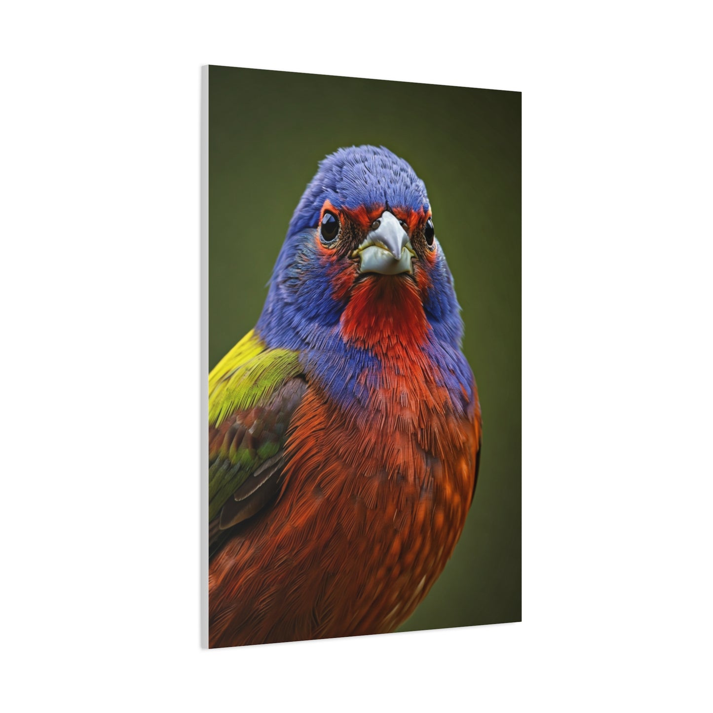 Vibrant Colorburst Sparrow Portrait Wall Art & Canvas Prints