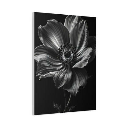 Anemone Bloom with Dramatic Center Wall Art & Canvas Prints