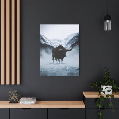 Lone Bull in Snowy Mountain Valley Wall Art & Canvas Print