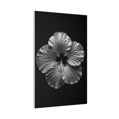 Monochrome Hibiscus Elegance Wall Art & Canvas Prints