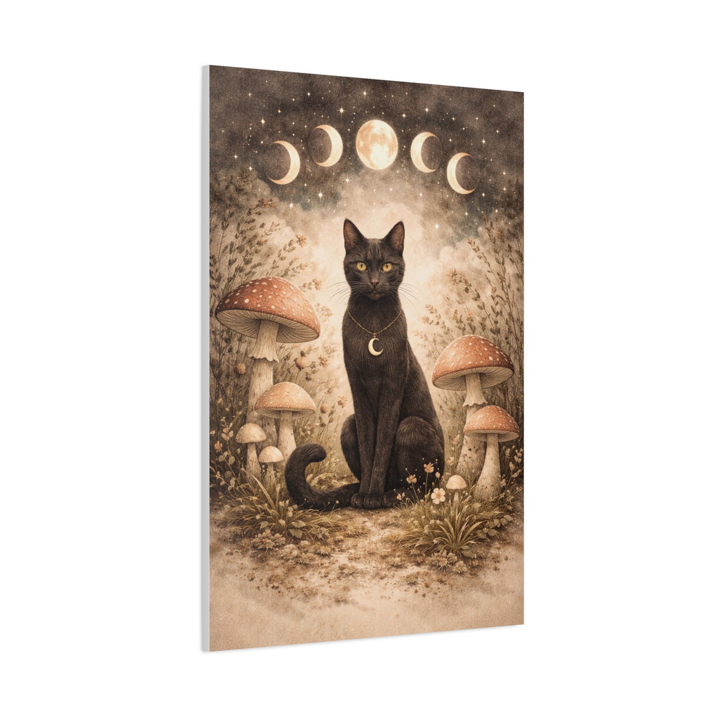 Mystical Boho Black Cat and Mushroom Night Scene Wall Art & Canvas Print