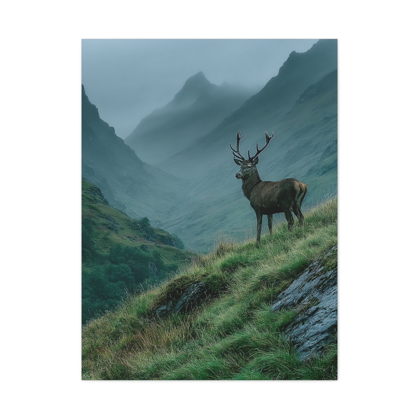 Highland Valley Stag Vista Wall Art & Canvas Print