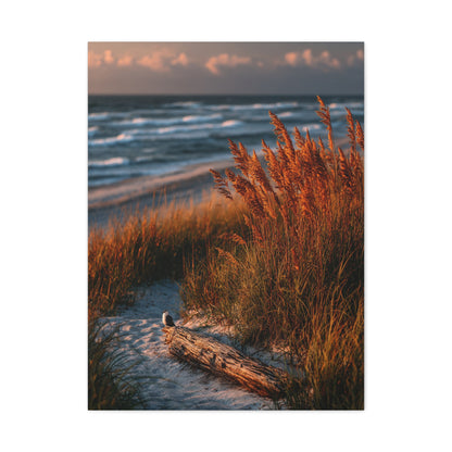 Golden Dune Driftwood Coastal Scene Wall Art & Canvas Print