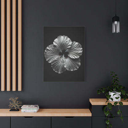 Monochrome Hibiscus Elegance Wall Art & Canvas Prints