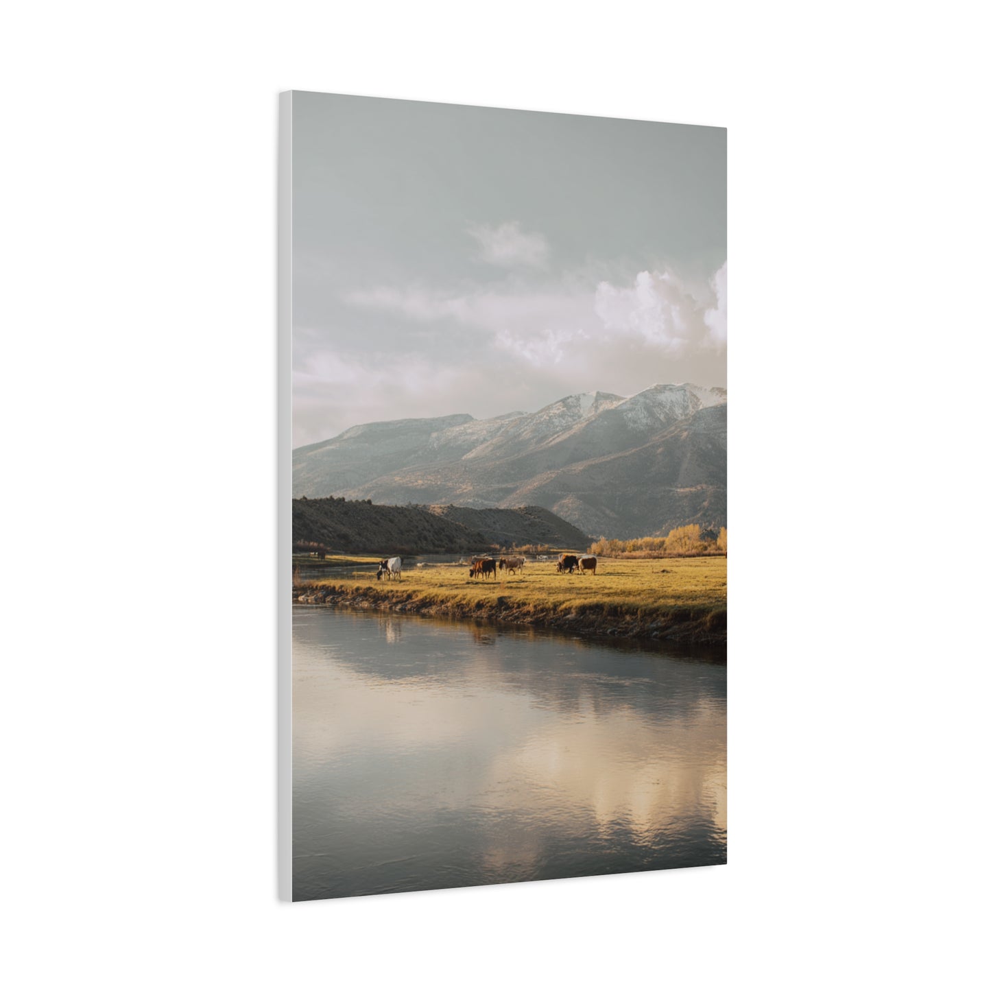 Mountain River Cattle Pasture Wall Art & Canvas Print