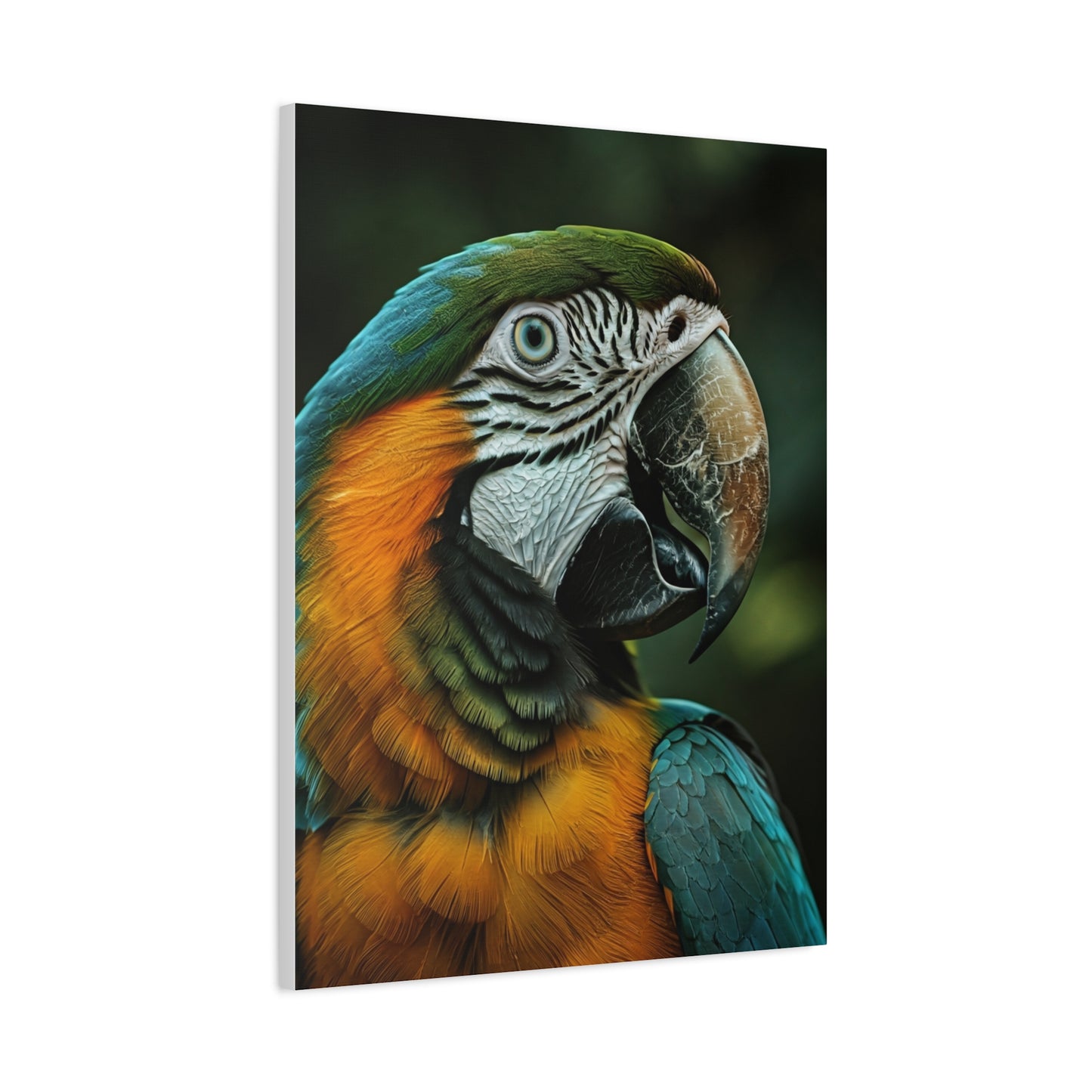 Blue and Gold Macaw Portrait Wall Art & Canvas Prints