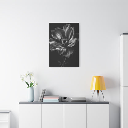Anemone Bloom with Dramatic Center Wall Art & Canvas Prints