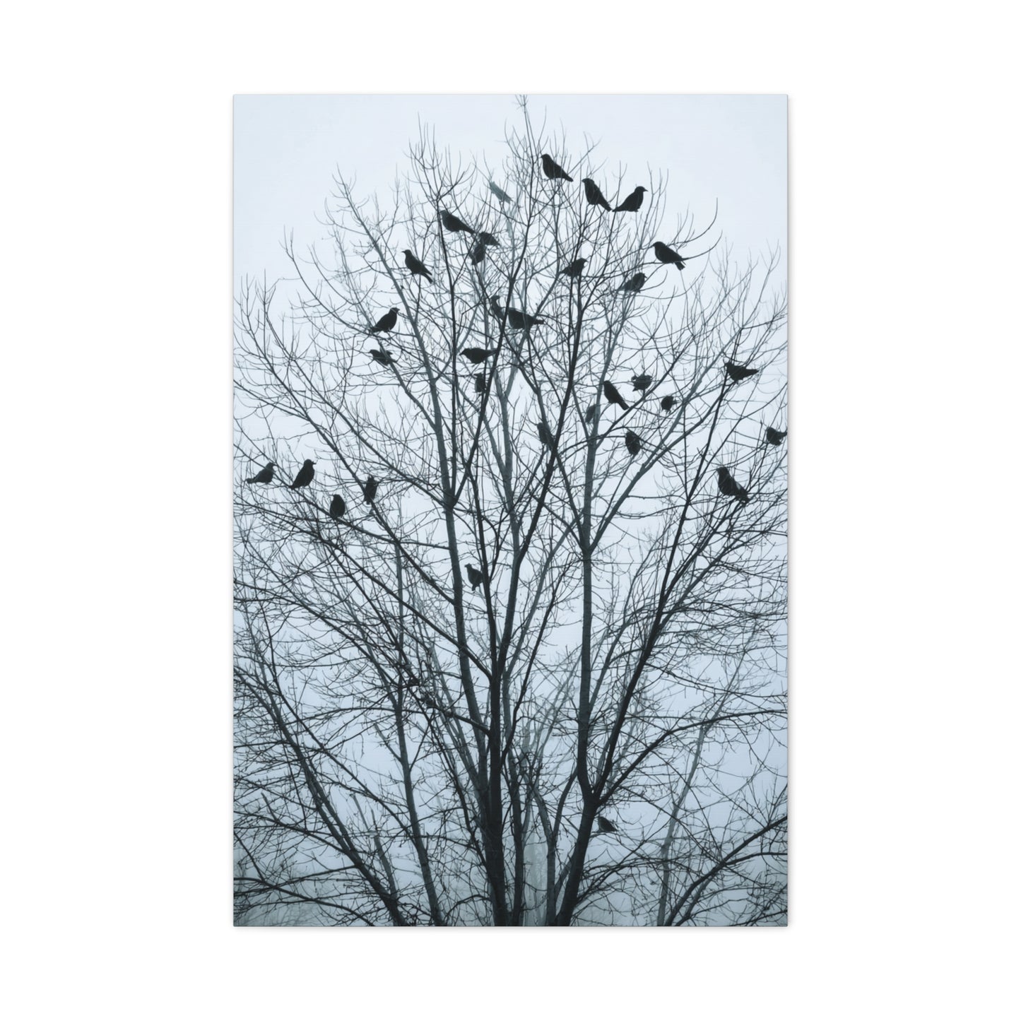 Tree of Crows Silhouette Wall Art & Canvas Print