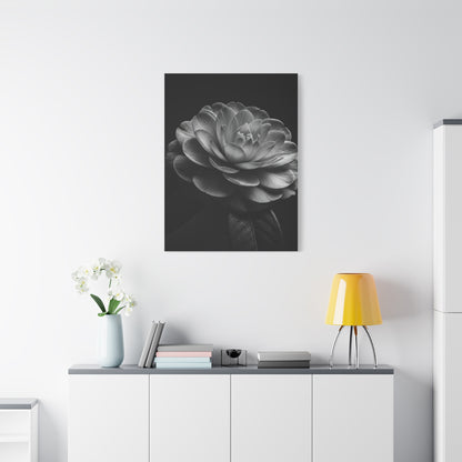 Camellia Bloom in Shadow Monochrome Wall Art & Canvas Prints