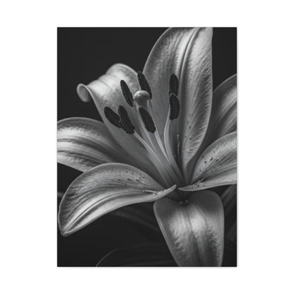 Lavender Silhouette in Low Light Wall Art & Canvas Prints