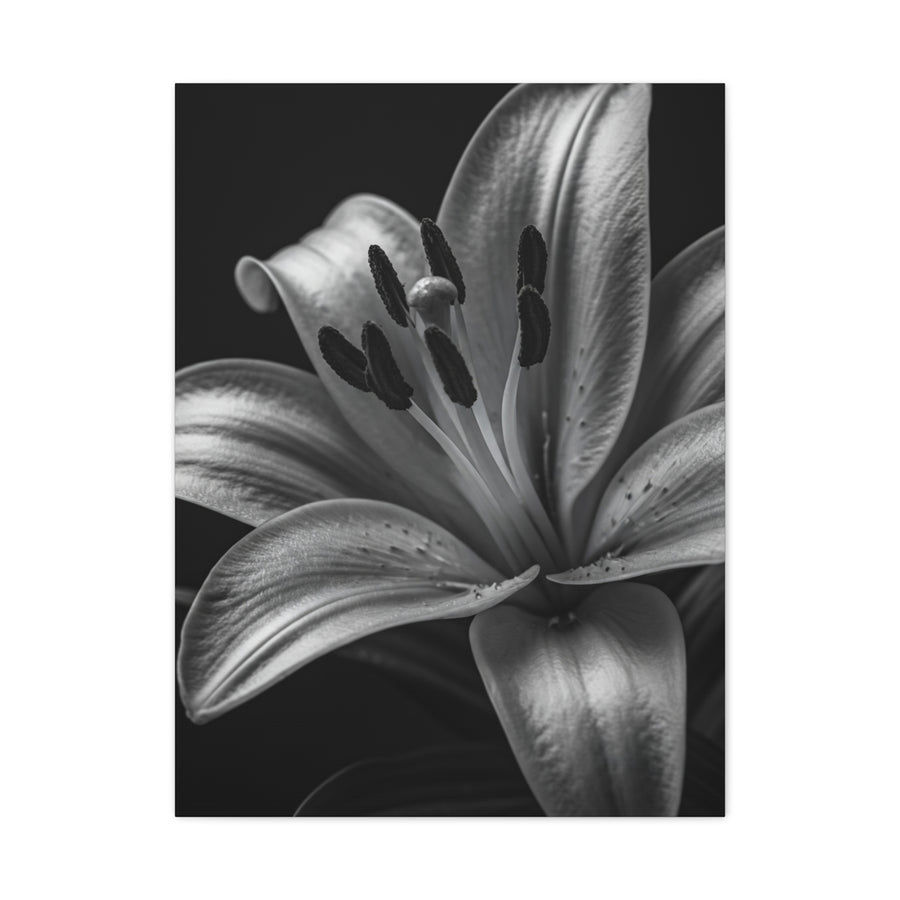 Lavender Silhouette in Low Light Wall Art & Canvas Prints