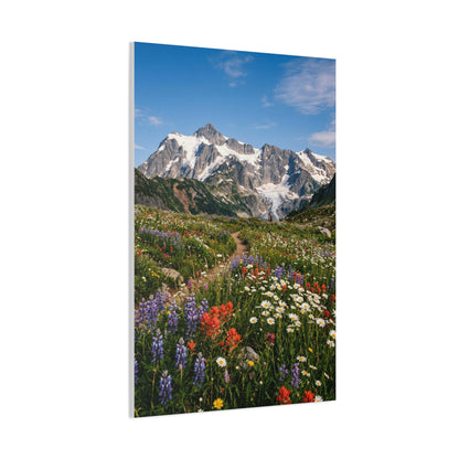 High Alpine Wildflower Meadow Wall Art & Canvas Print