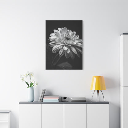 Peony Elegance in Monochrome Wall Art & Canvas Prints